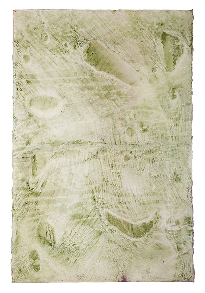 chontaduro papel 03.jpg